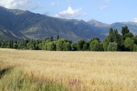 Eastern Issyk-Kul