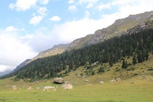 Turgen-Aksu 5.JPG