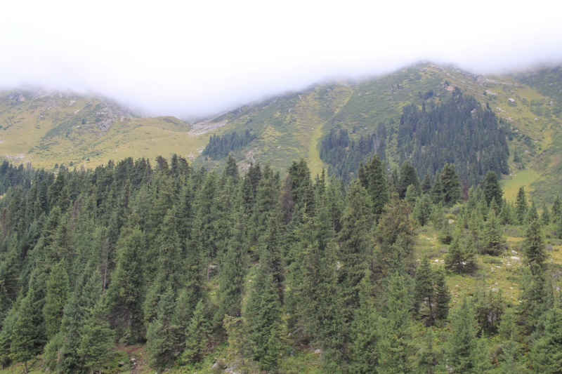 File:Turgen-Aksu 2.JPG