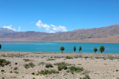 Near the southern shore of the reservoir