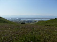Vista delle baie dal pendio settentrionale
