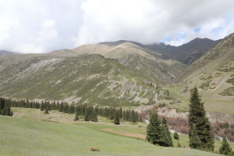 File:Gregory gorge in Kyrgyzstan 6.jpg