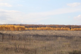 Panorama shot