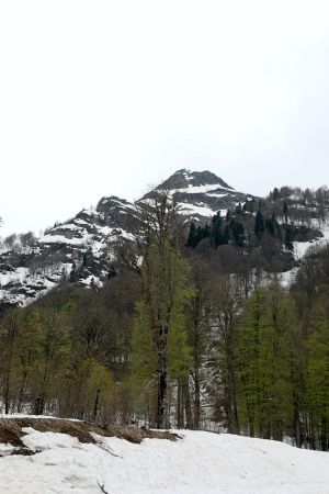 Mountains near Polikar waterfall in Krasnodar region, Russia.jpg