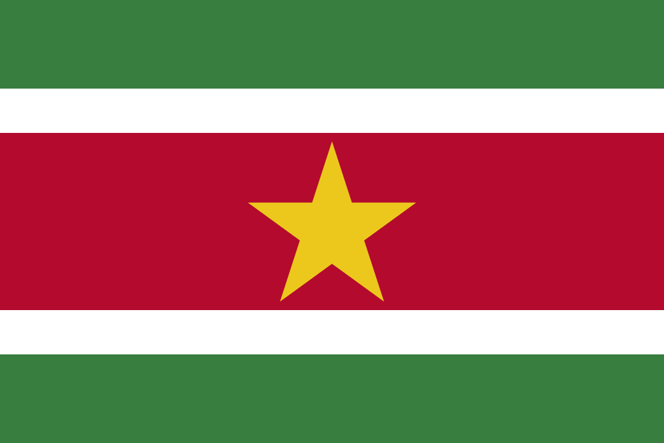 Файл:Flag of Suriname.svg