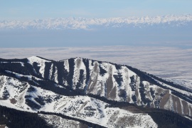 Standard panorama