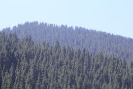 Original image with the effect