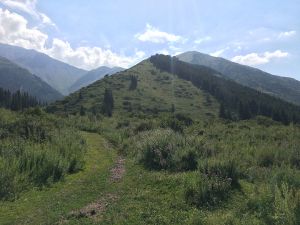 Shamsi gorge, Kyrgyzstan 11.jpg