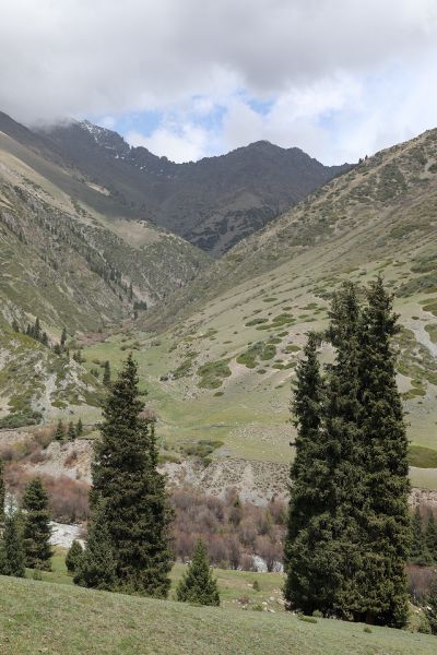 File:Gregory gorge in Kyrgyzstan 5.jpg