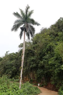 Auf dem Weg zum Wasserfall