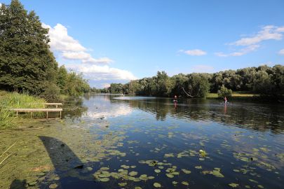 Вид на старицу Москвы-реки