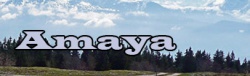 Amaya Editor