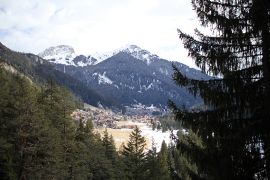 Канацеи