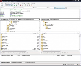 Общий вид FTP клиента FileZilla