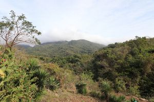 Trip to Vegas Grande waterfall, Cuba 01.jpg