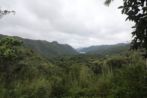 El Nicho Waterfalls Image 04.jpg