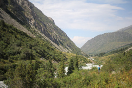 Tornando a casa