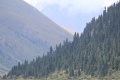 Thumbnail for version as of 21:42, 26 November 2016